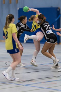 Bild 242 - F HSG Pinnau2 - Rellinger TV2 : Ergebnis: 27:20